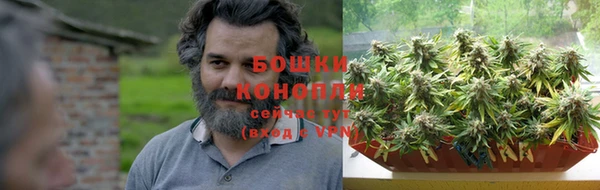 СК Белокуриха