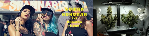СК Белокуриха