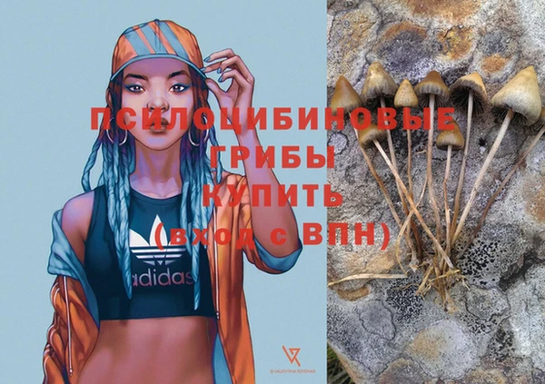 a pvp Беломорск