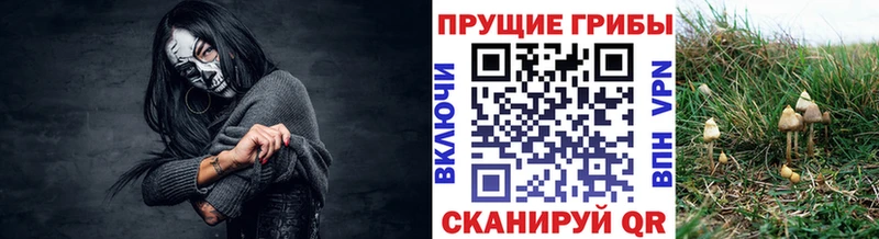 Псилоцибиновые грибы Psilocybine cubensis  Бобров 